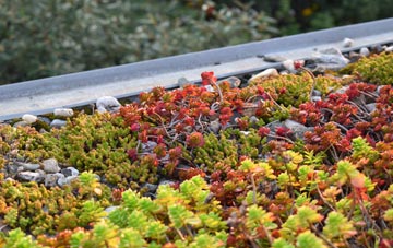 the cost of Bournside green roof installation